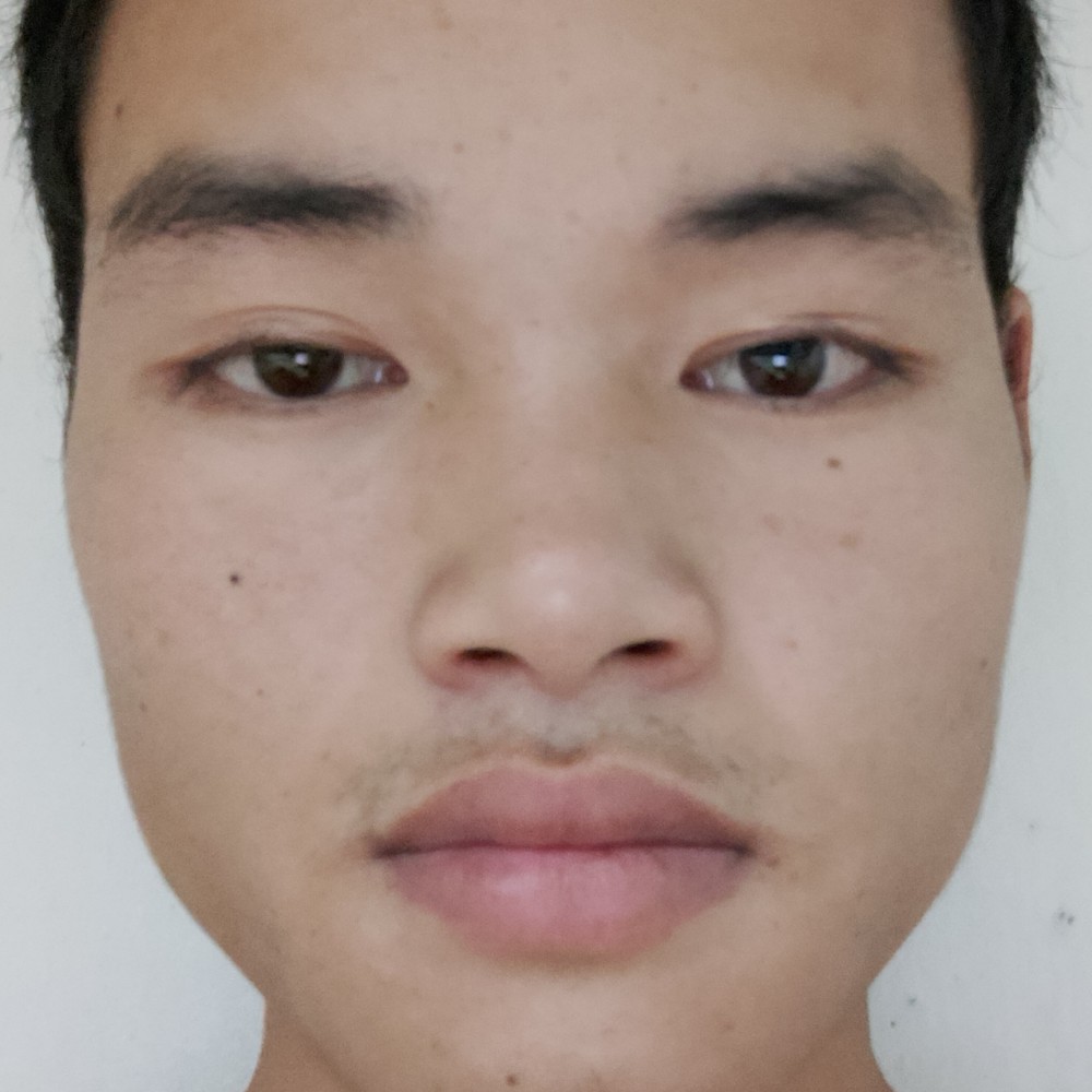 黄豆给暴躁的照片
