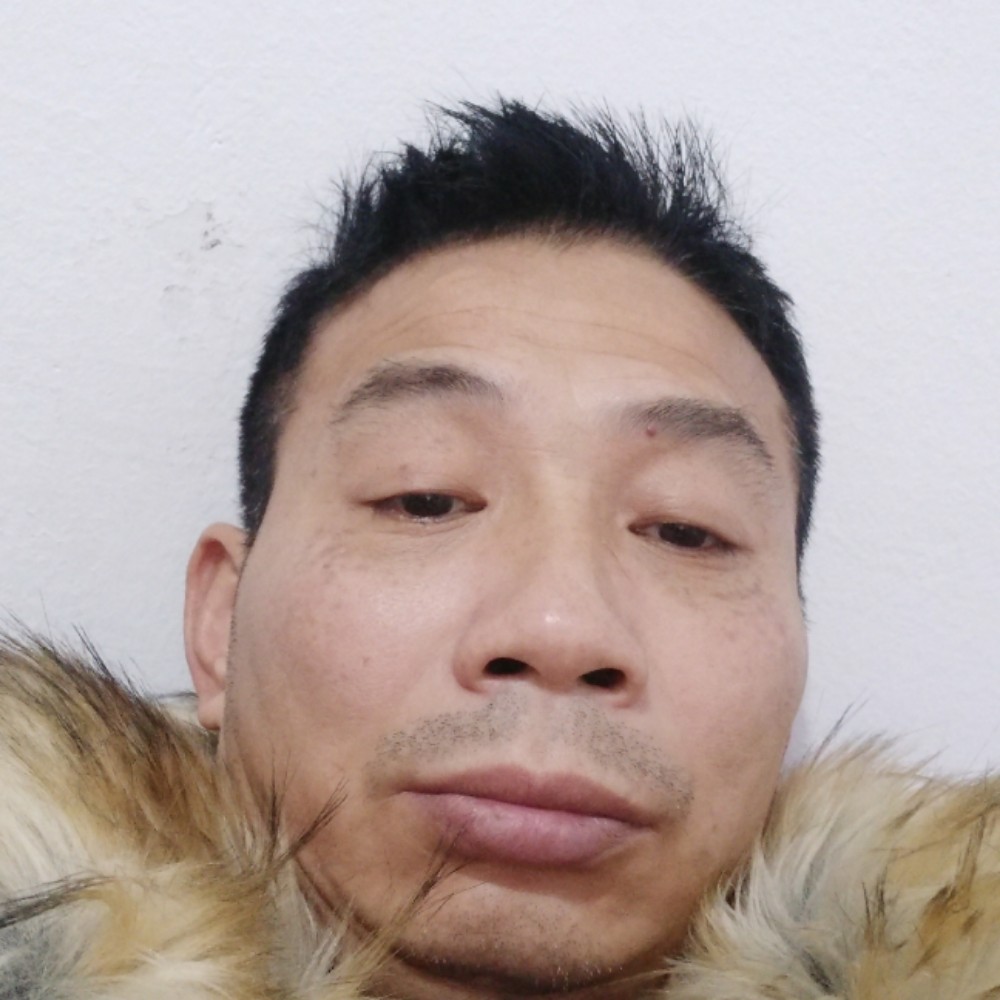 鲤鱼打蜻蜓的照片