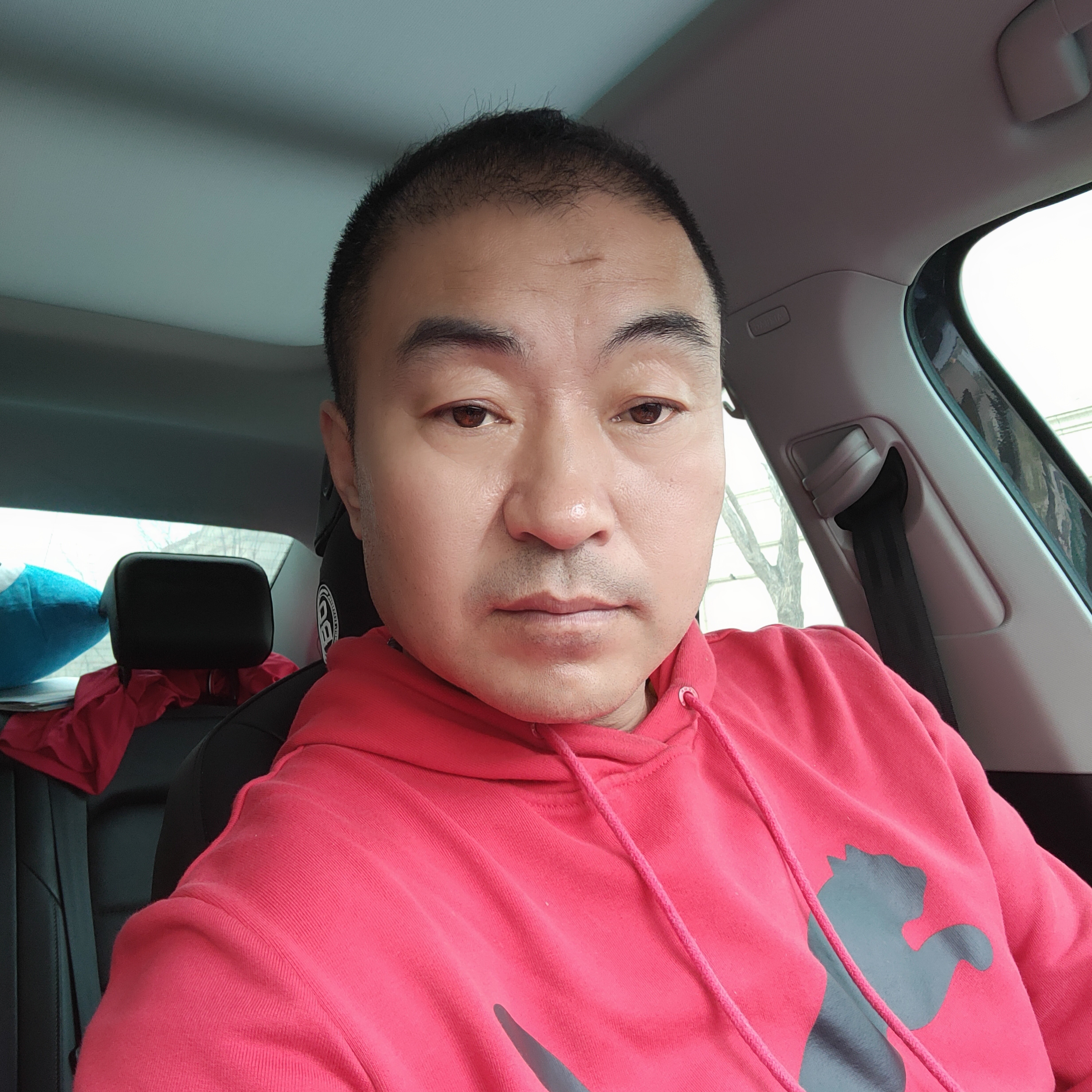 狼王的照片
