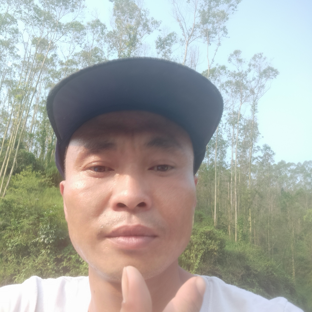 平湖拾忆热情的照片