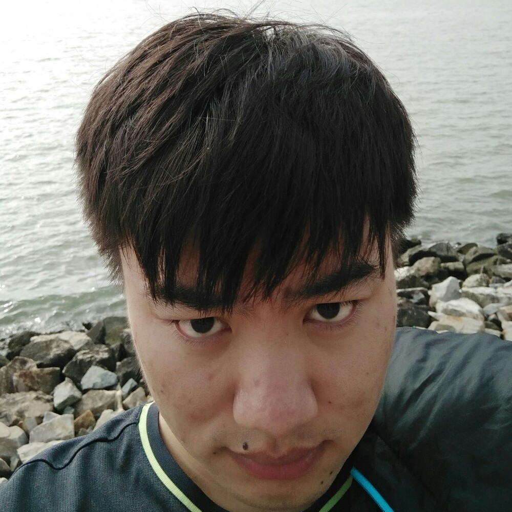 飞奔的小乌龟的照片