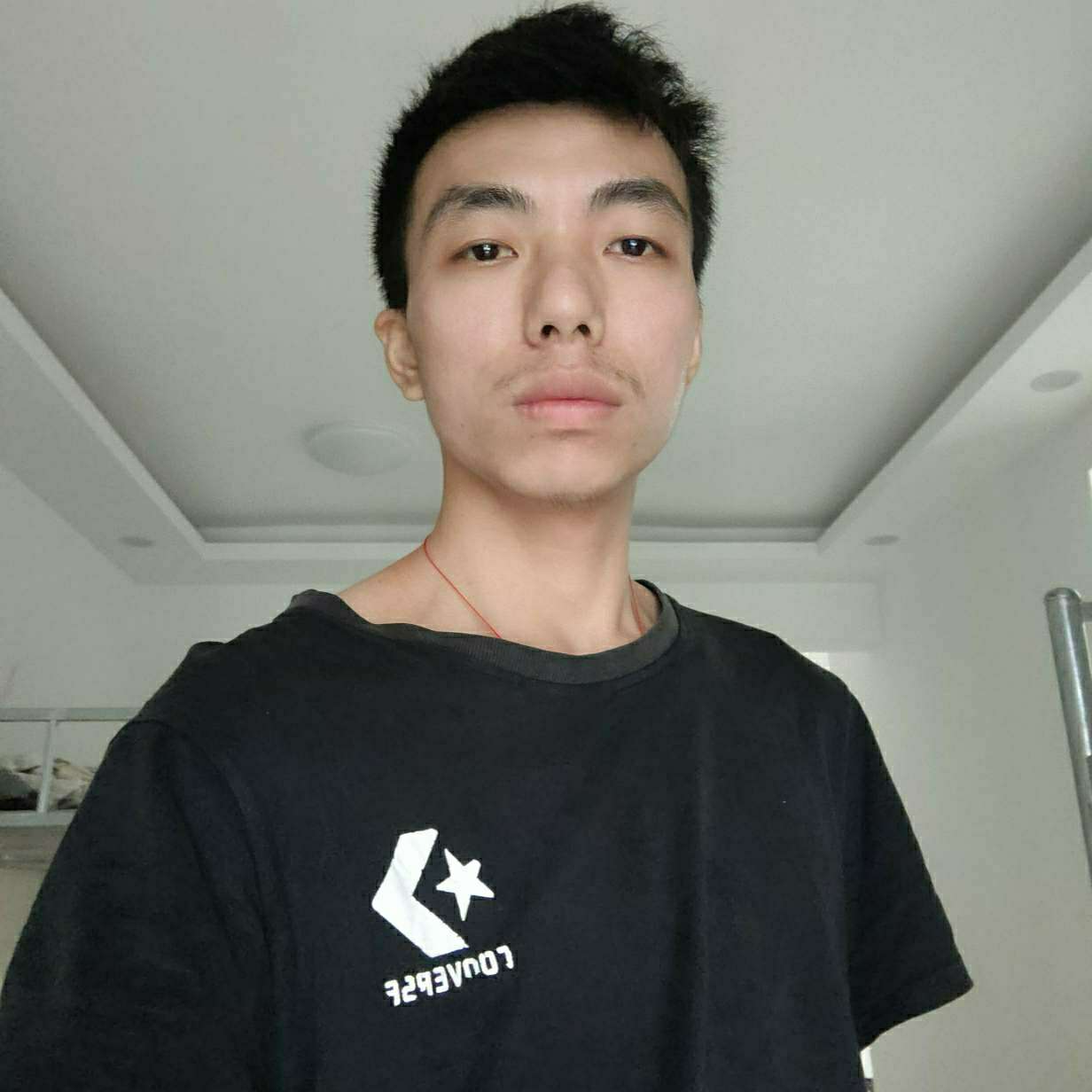 苹果邂逅冰棍的照片