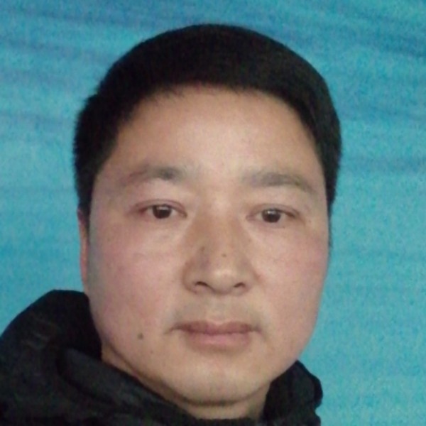 寒风爱恋坚定的照片