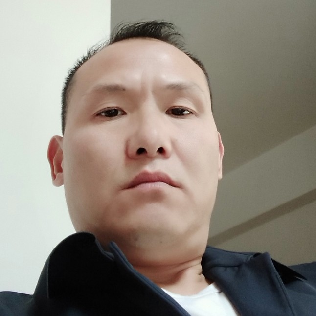 颉颃的照片