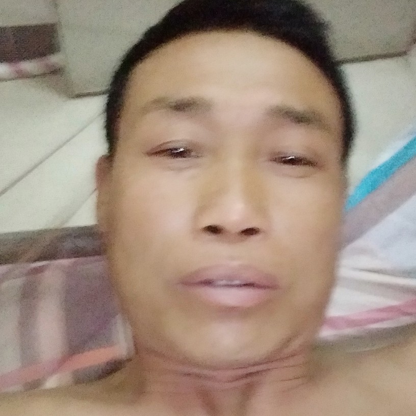 白昼苦恋想人陪的照片