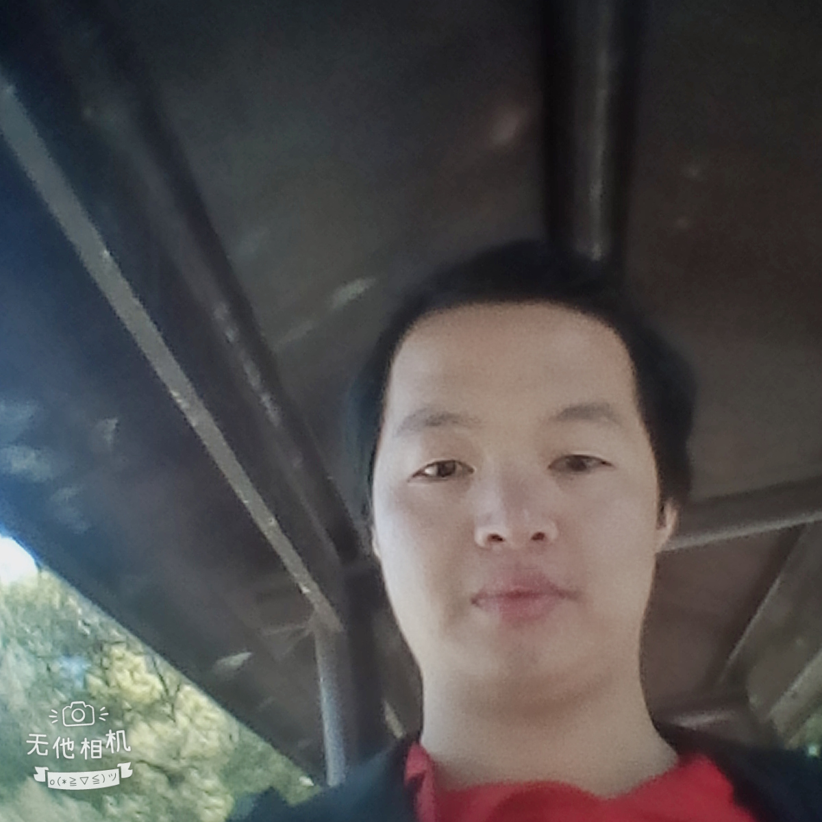 孤狼的守望的照片