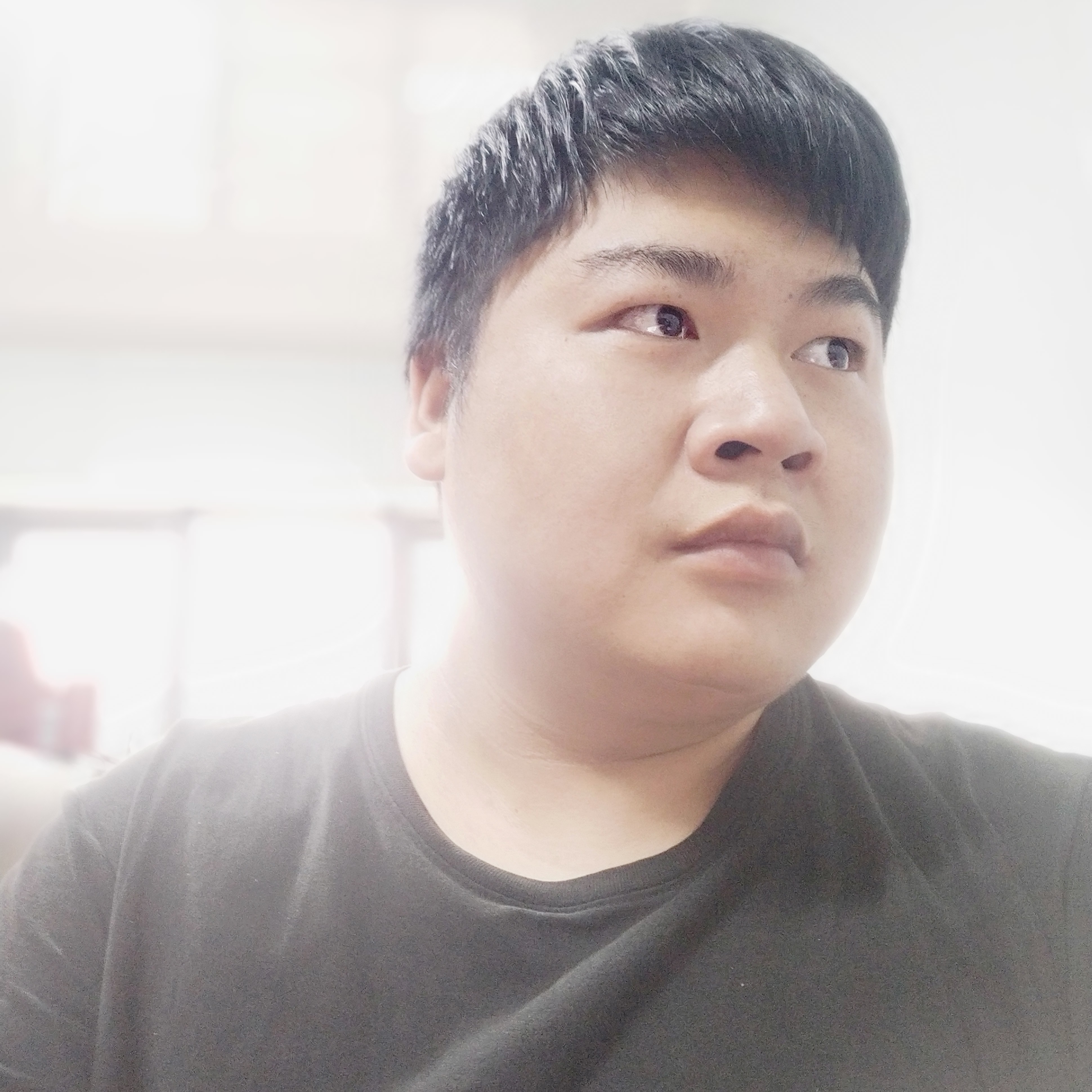 砖头直率的照片