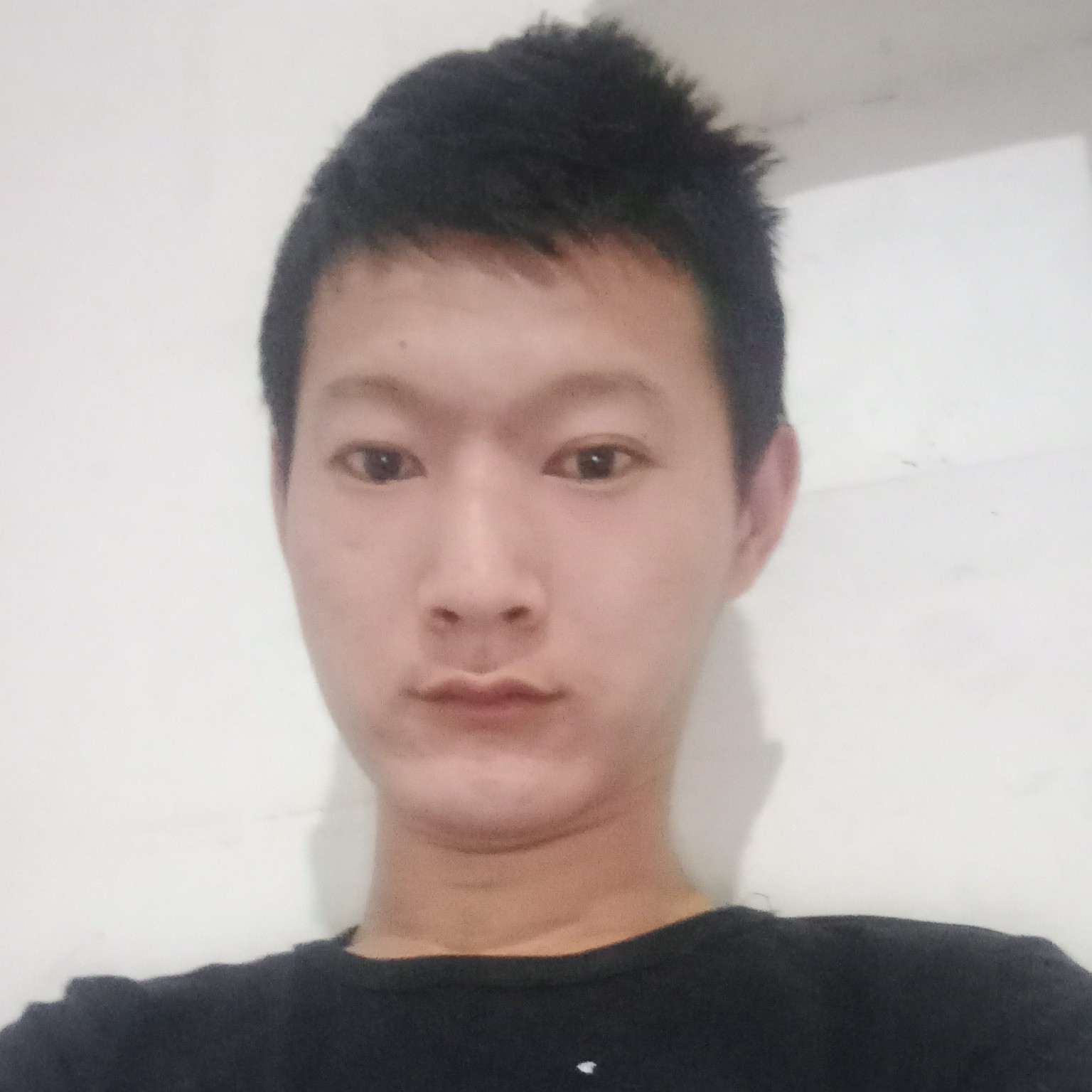 朴实蹁跹红尘的照片