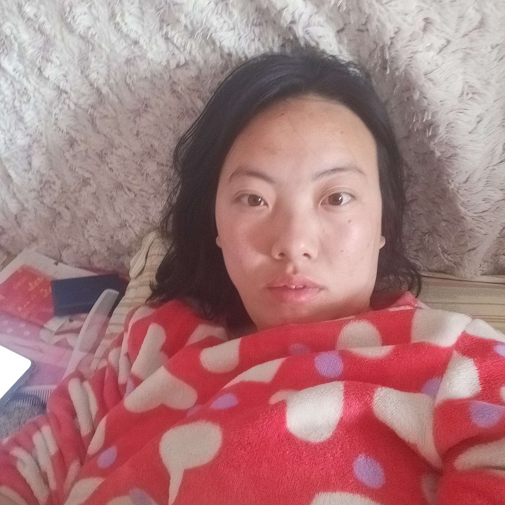 勤奋多么奇异果的照片