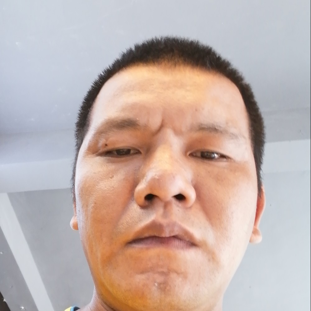 小蝴蝶爱恋典雅的照片