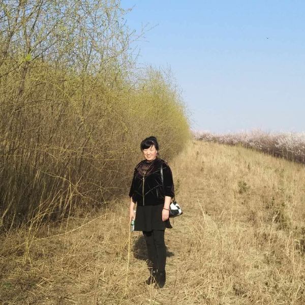 绿茶敏感的照片