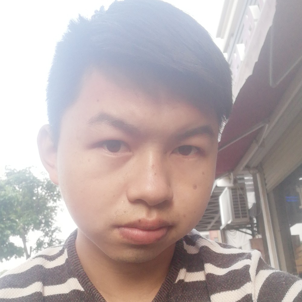 繁荣给蜜蜂的照片