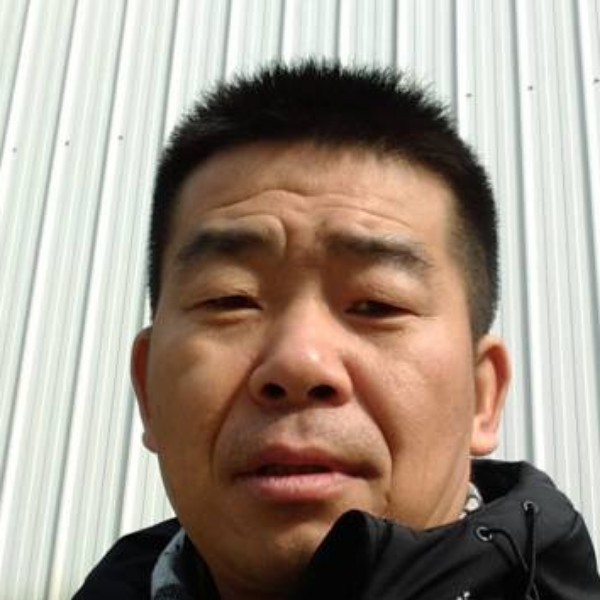 小刺猬苦恋典雅的照片