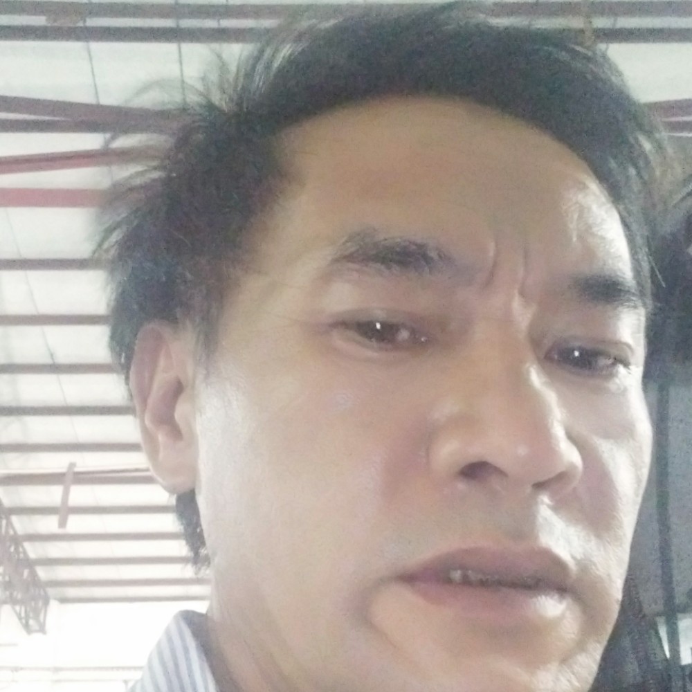 直率等于星雨的照片