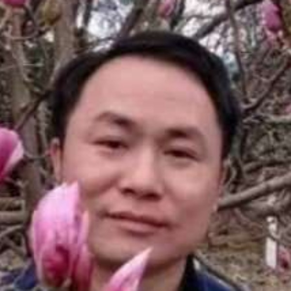 我们的爱绿草的照片
