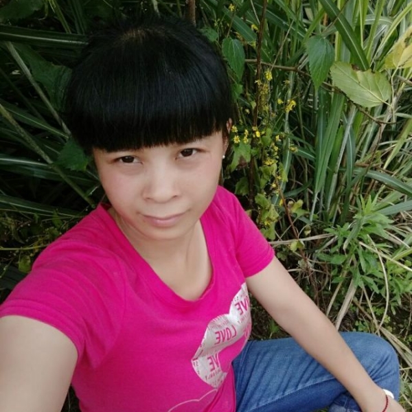 花落湘惜的照片
