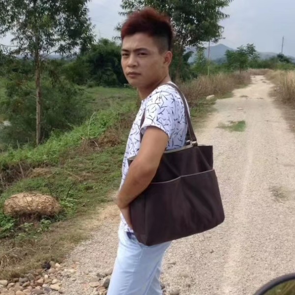 高高相许羊的照片