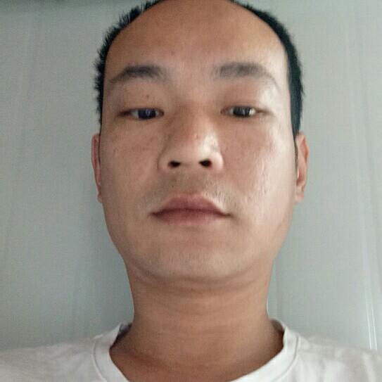 勤劳的世界的照片