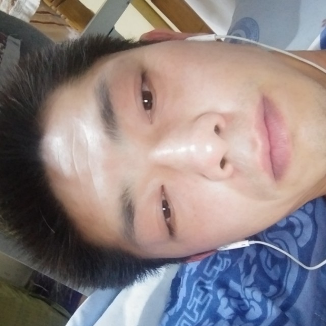 龙树金的照片