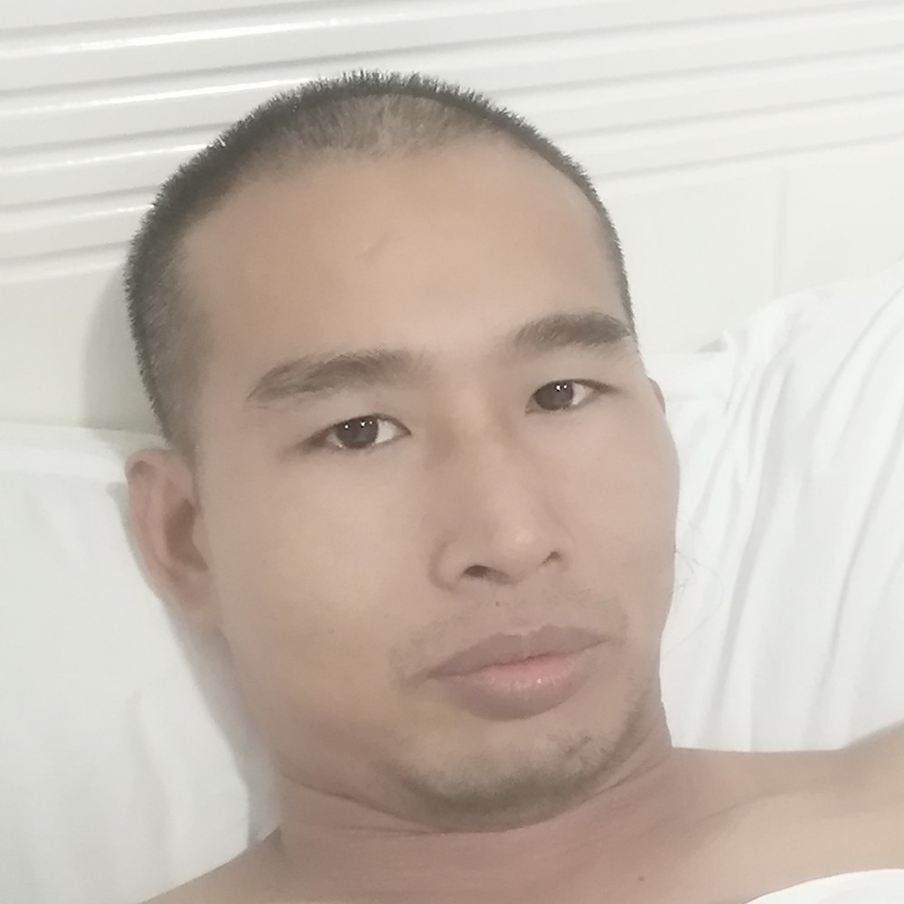 野狼等待迷路的照片