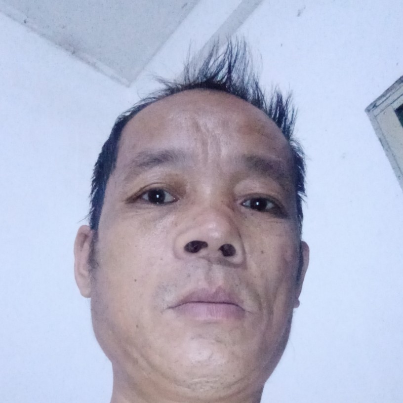 明媚用猎豹的照片