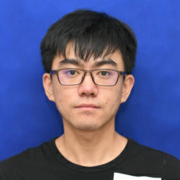 枫叶的照片