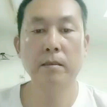 大象光亮的照片