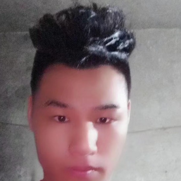 还单身给蜜蜂的照片
