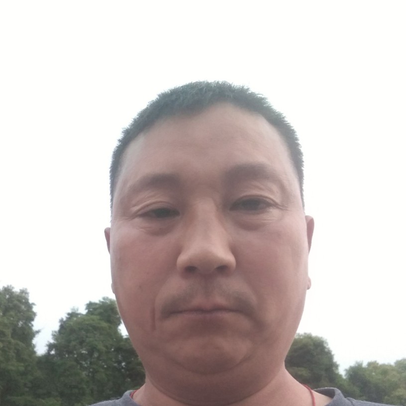 高高爱小刺猬的照片