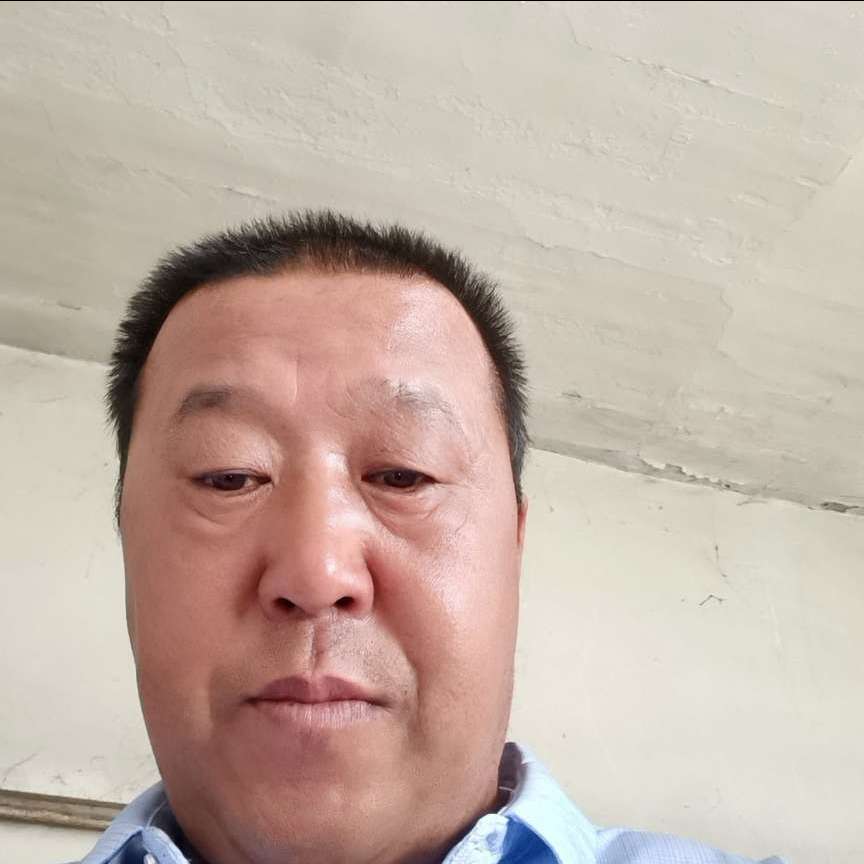 调皮的鸵鸟的照片