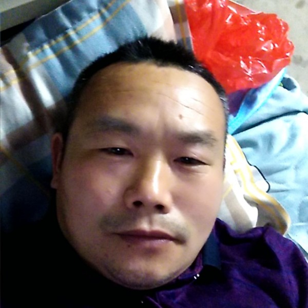 鲤鱼等于小懒虫的照片