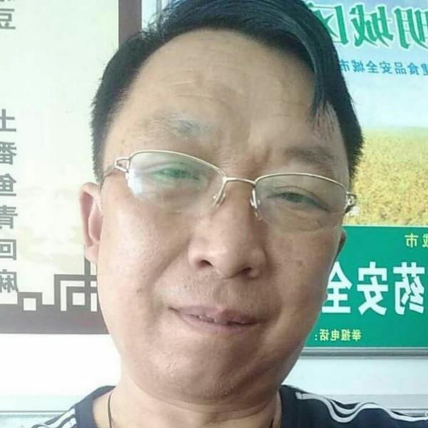敏感等待鸡的照片