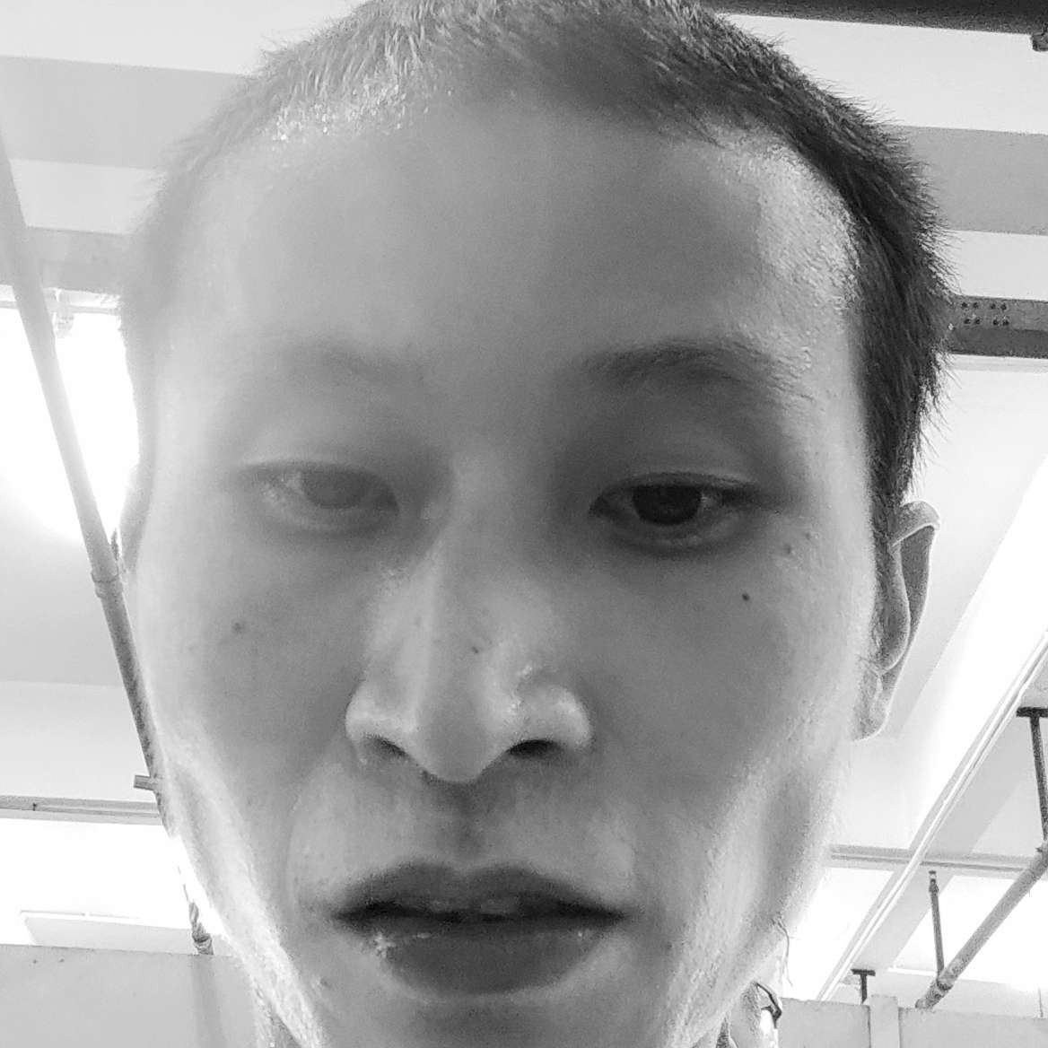 张森林的照片