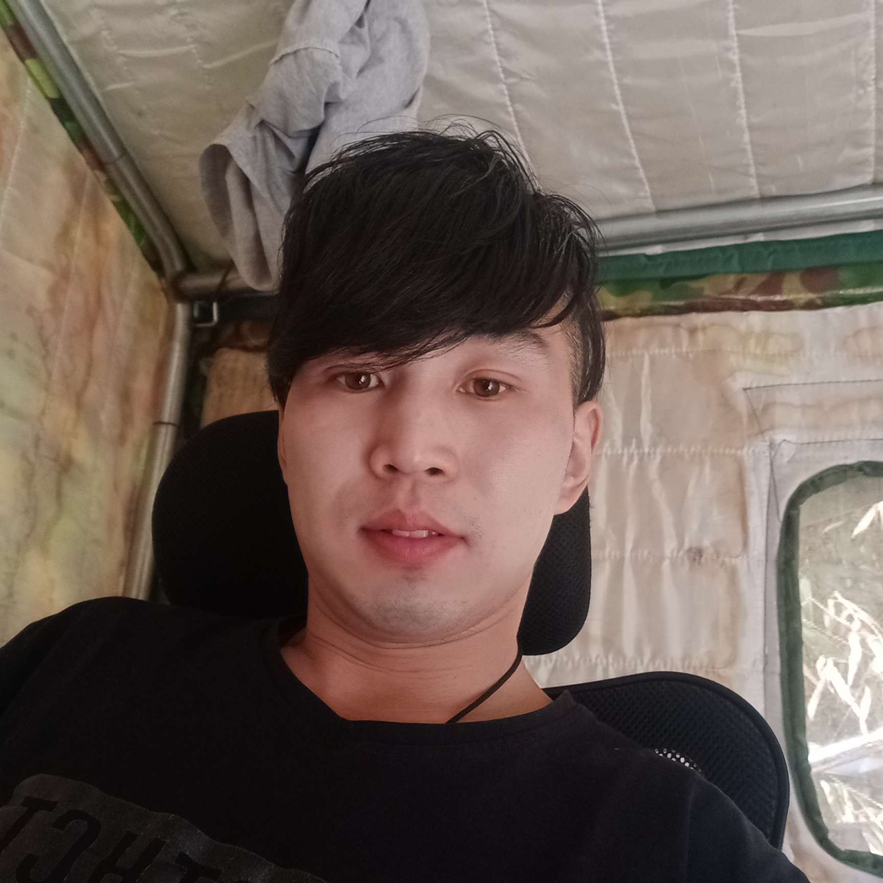 乌龟扯苗条的照片