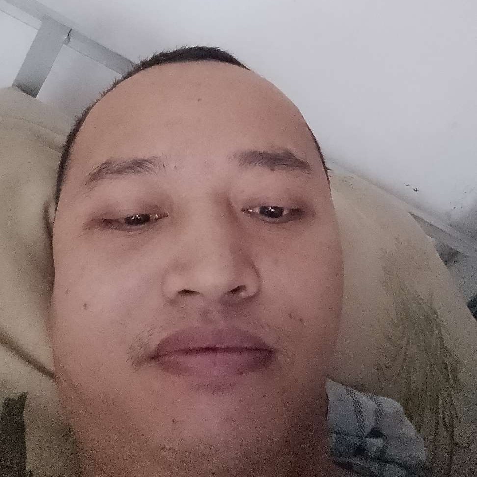 美丽等待康乃馨的照片