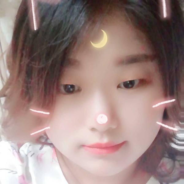 熊的照片