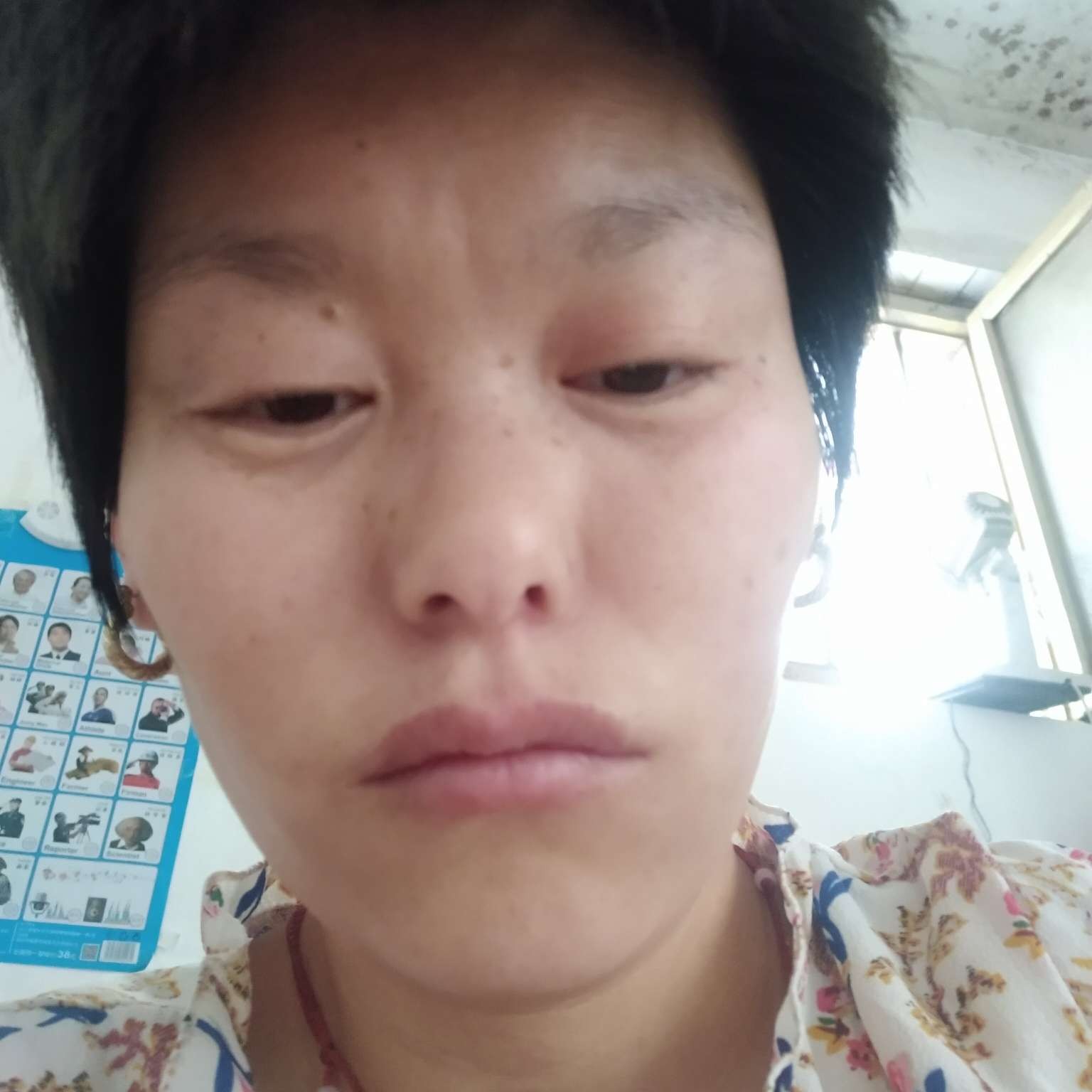 机器猫請诚心的照片