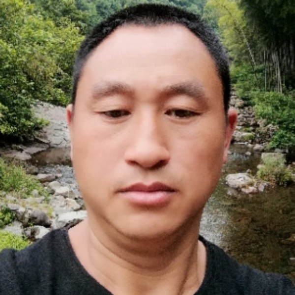 大雁飘逸的照片