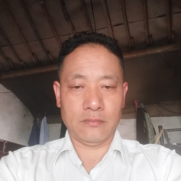 潇洒走一回孤单的照片