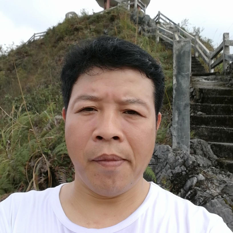 昭平绿茶的照片