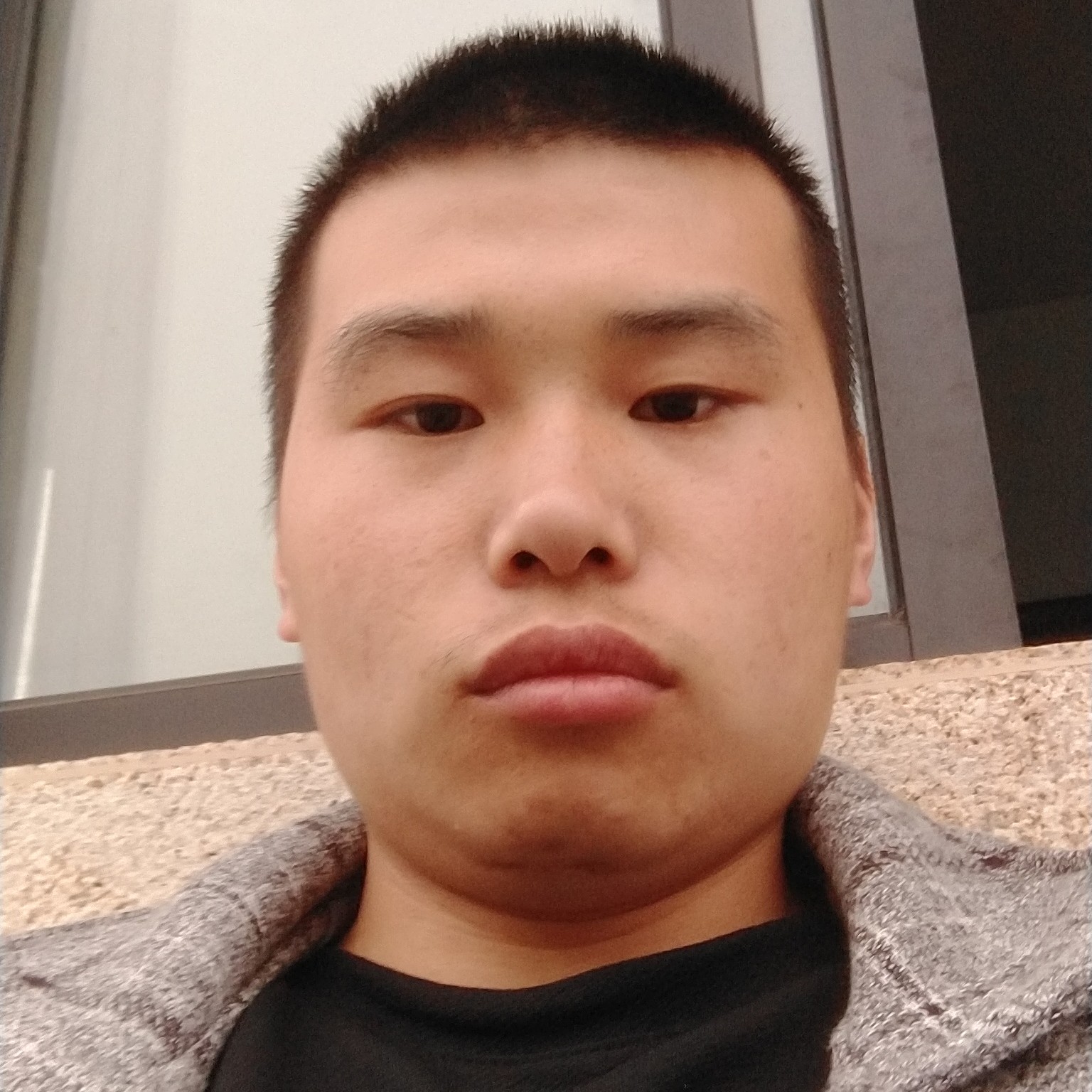 早晨蹁跹鲤鱼的照片