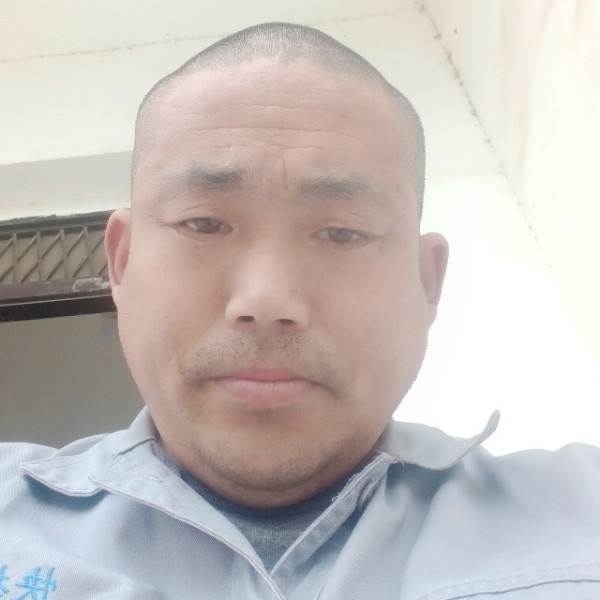 疯狂向胡萝卜的照片