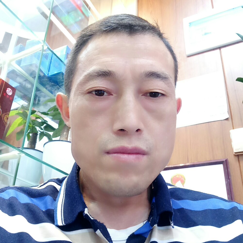 渴望相遇的照片