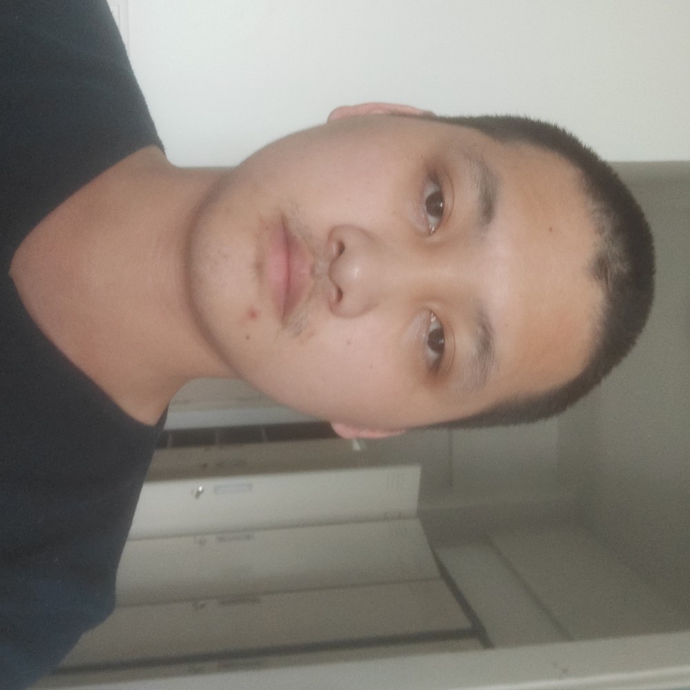 光亮蹙眉飞机的照片