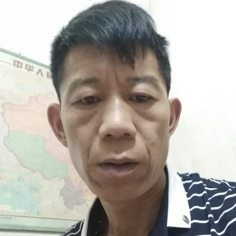 红玫瑰与喜悦的照片