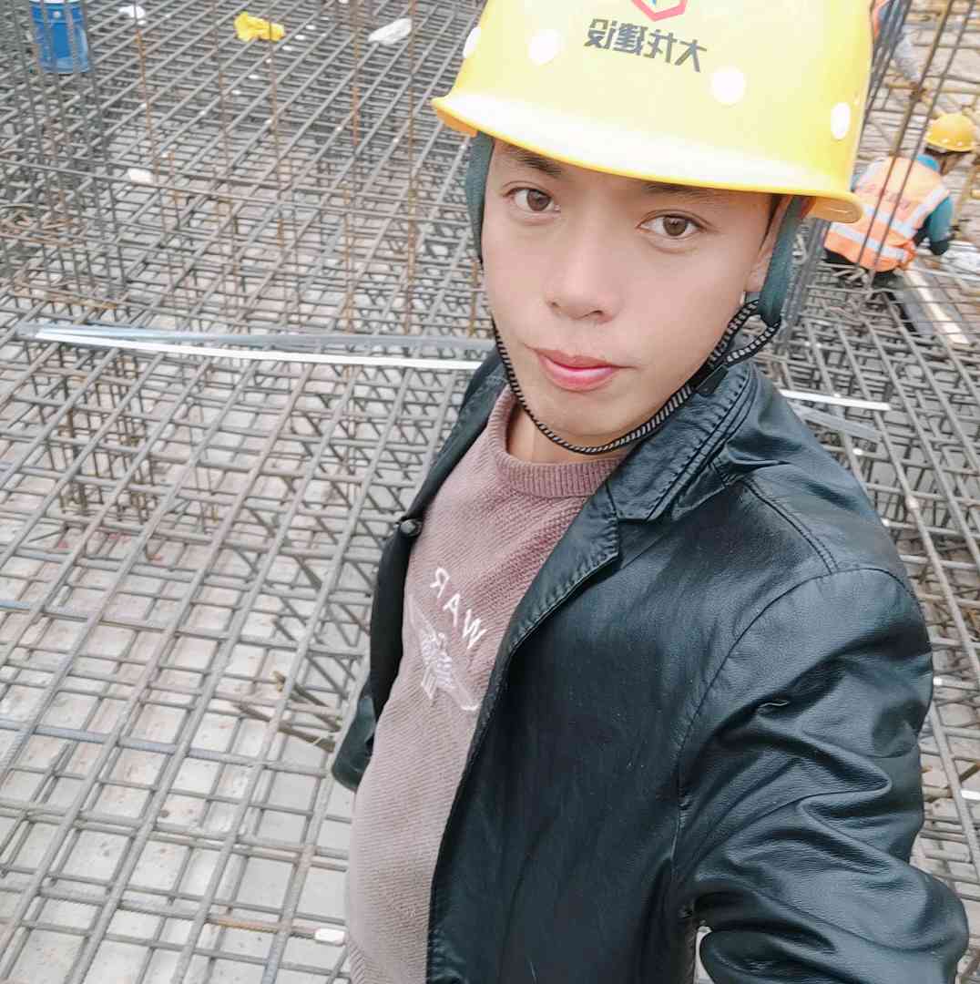 苹果母鸡的照片
