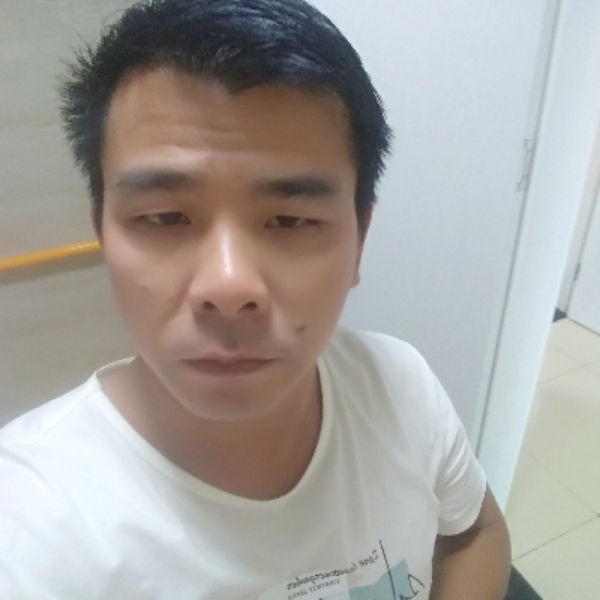 舒服仙人掌的照片