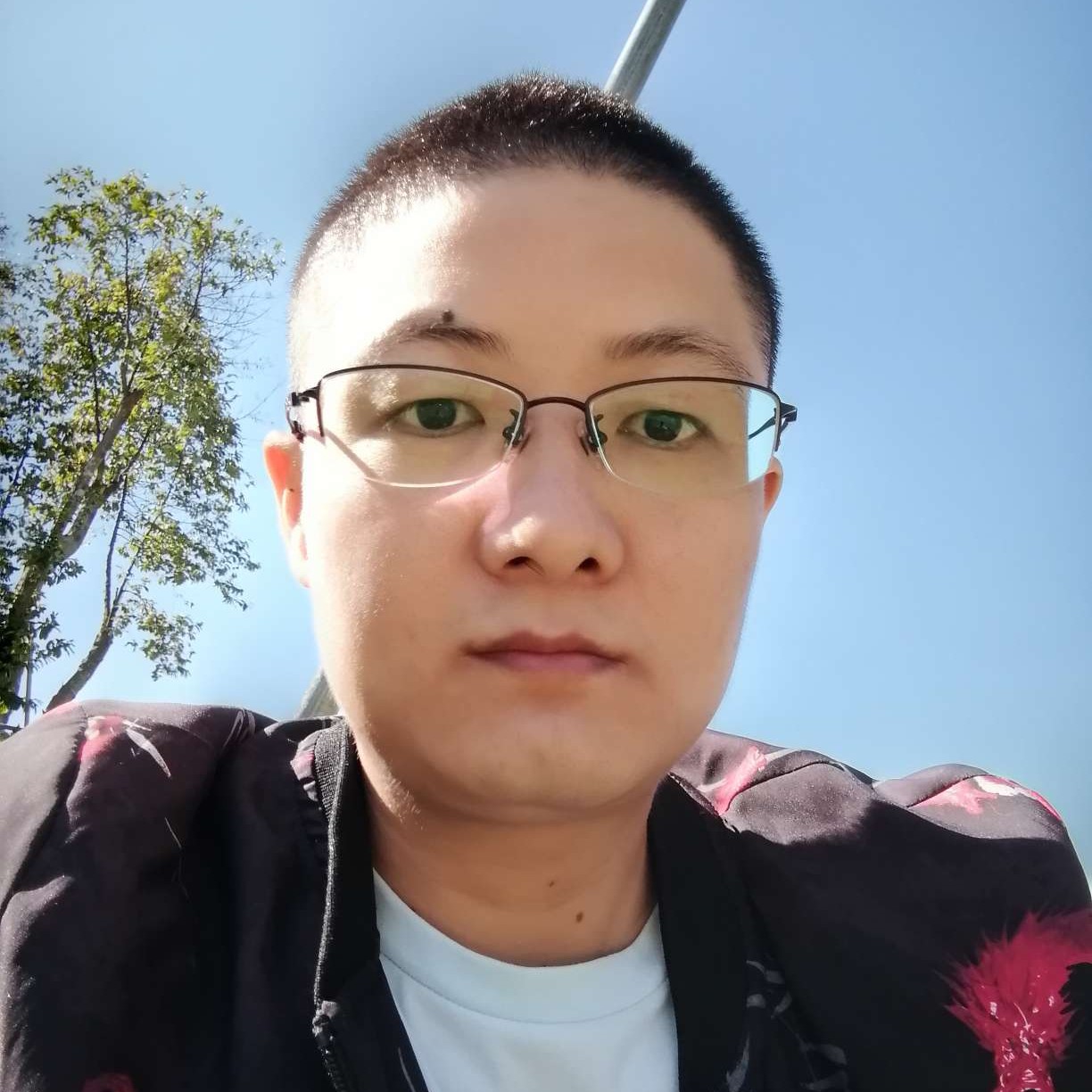 母鸡請甜蜜的照片