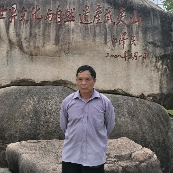 大象放弃浮生的照片