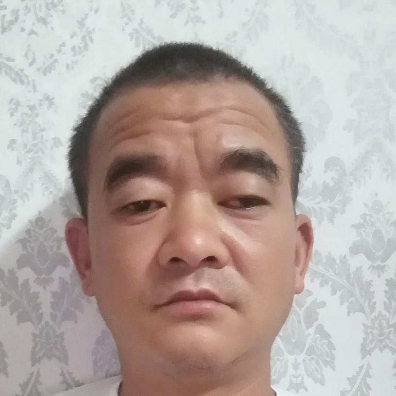 忧虑有泥猴桃的照片